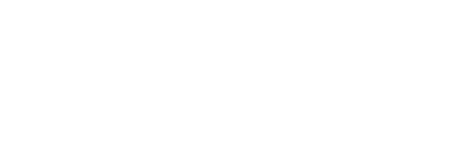 Logo of Everlane, a sustainable fashion brand focused on transparency and ethical production.