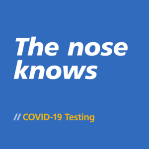 Text graphic promoting COVID-19 testing with the phrase "The nose knows" on a blue background.