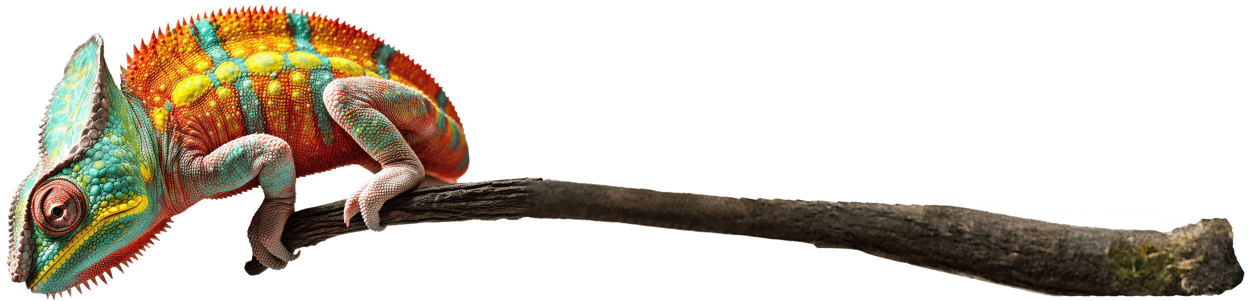 Close-up image of a vintage wire brush, featuring a worn wooden handle and metal bristles, commonly used for cleaning surfaces or tools.