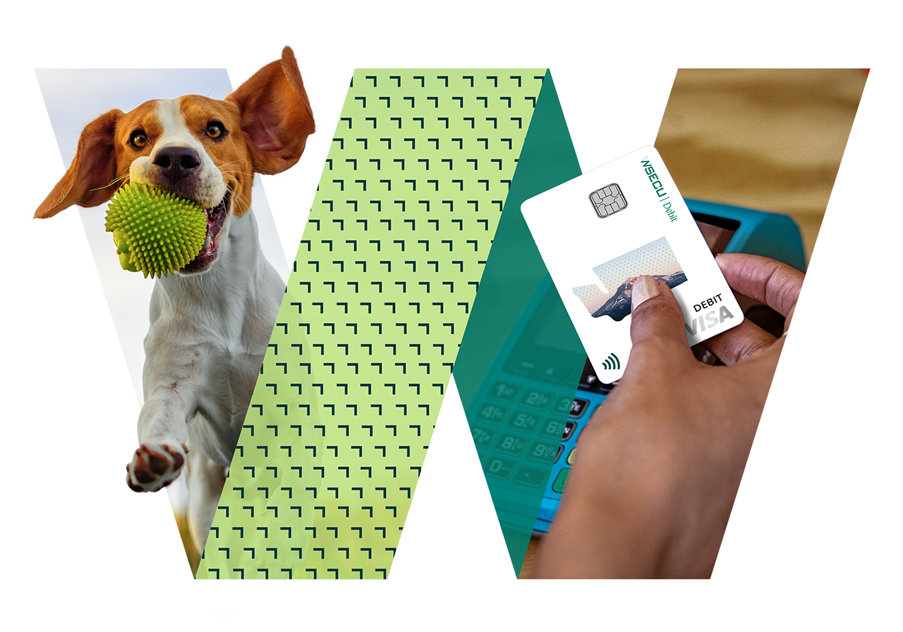 A playful dog catching a green ball, a hand holding a credit card, and a laptop are featured in a vibrant graphic design, symbolizing online shopping and pet care services.