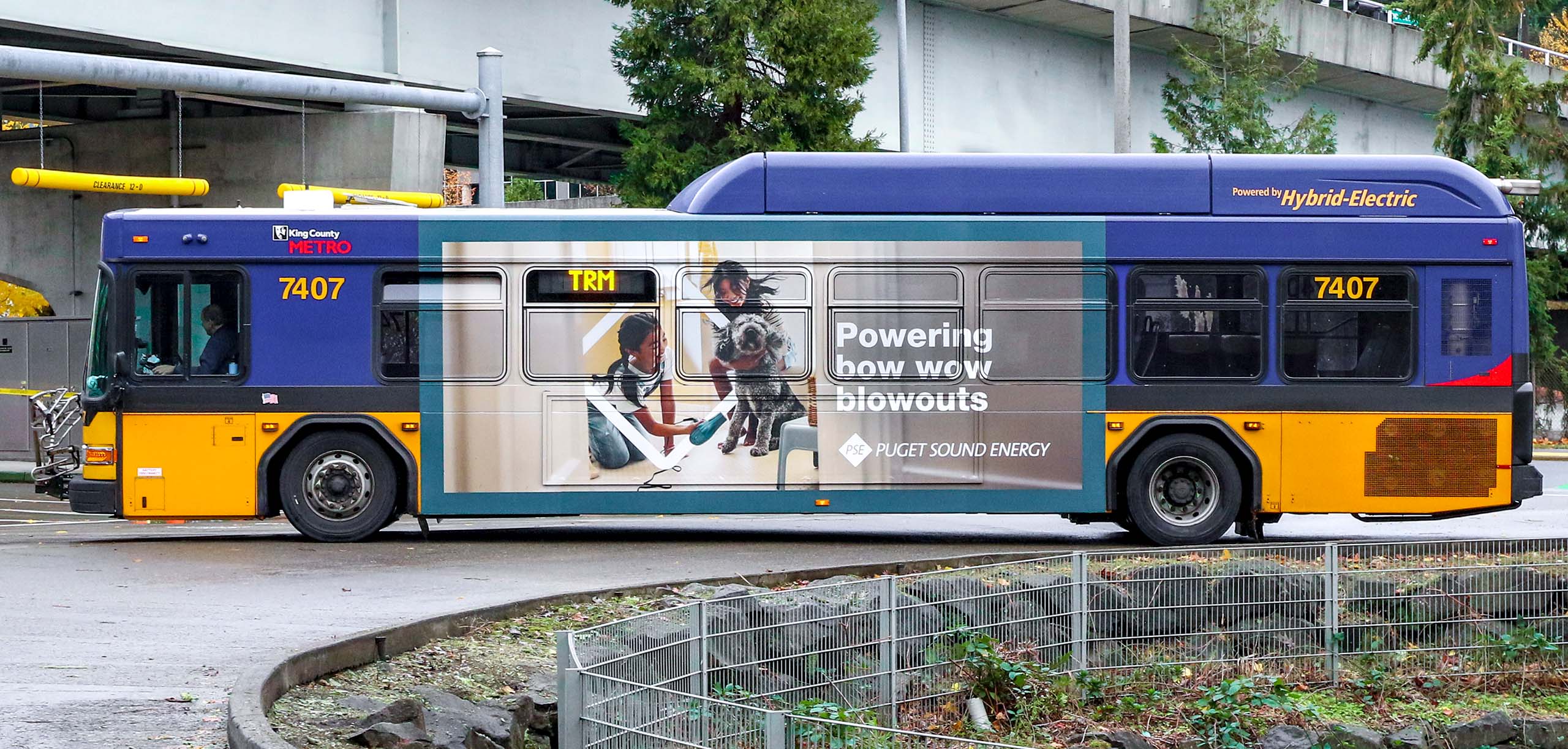 Bus advertisement featuring a child and a dog, promoting Puget Sound Energy's services with the slogan "Powering how wow blowouts." The bus is parked near a green area, showcasing urban transportation and community engagement.